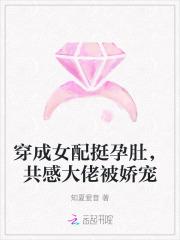 穿成怀孕女配文