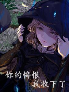 你的悔恨我收下了阅读