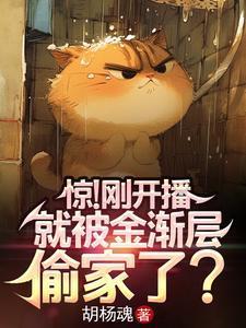 金渐层猫吧