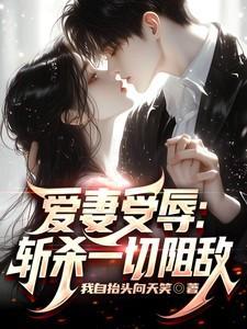 书名爱妻作者惊蛰