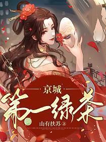 京城第一绿茶讲的什么