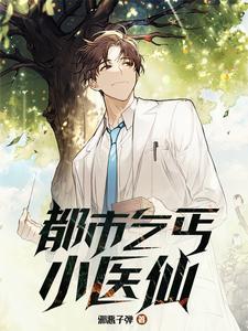 都市乞丐小医仙简介
