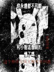 神奇宝贝大师之路