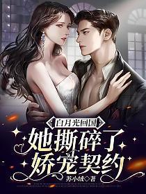 白月光她回来以后