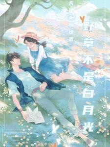 野草不是白月光讲的什么