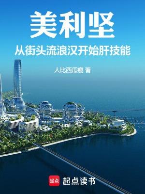 美利坚从街头流浪汉开始肝技能无防盗