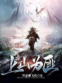 上山为匪TXT资源