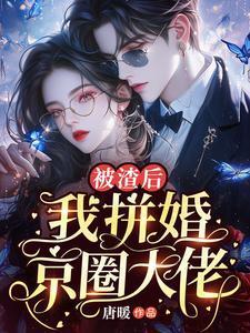 被渣后我嫁给了大佬格格党