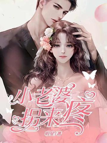 小老婆拐来疼齐卓风全文阅读