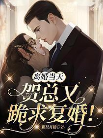离婚当天贺总又跪求复婚全文免费阅读
