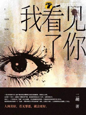 我看见了你的风尘