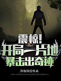震惊开局一片地暴击出奇迹百度百科