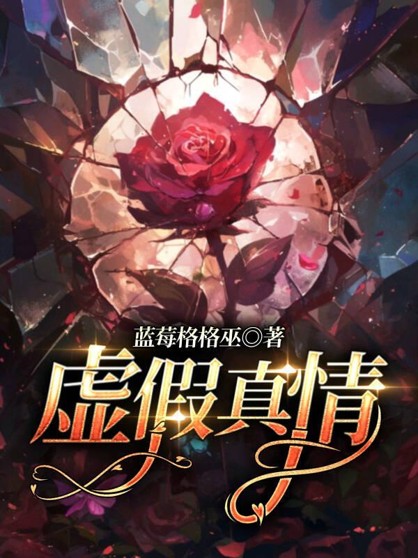 虚假真情是什么意思