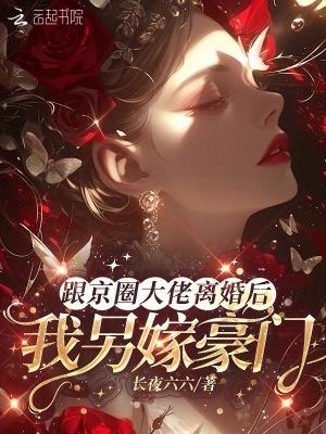 我另嫁豪门简介