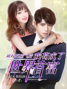 我苟成了世界首富 守护凡界的神