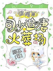 司少追妻火葬场! 颜苏