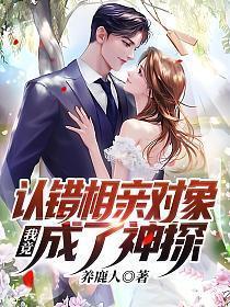 我竟成了神探txt