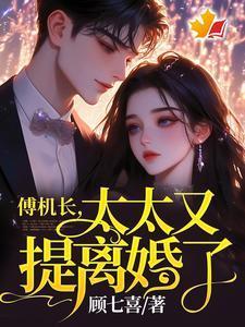 太太又提离婚了的