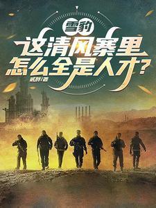 雪豹清风寨打一线天第几集