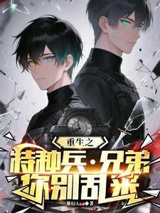 重生之特种兵兄弟你别乱来346