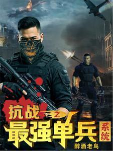抗日之单兵系统