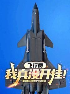 我是飞行员游戏