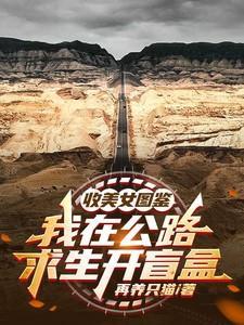 我在公路求生开盲盒 完整版