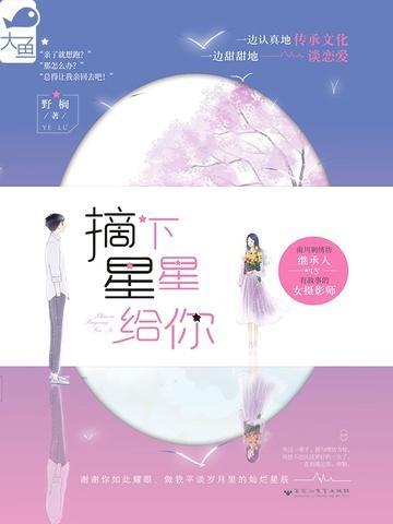 摘下星星给你摘下月亮给你是什么歌