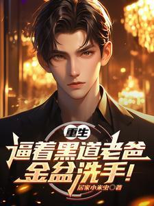 重生社会老爸金盆洗手全集