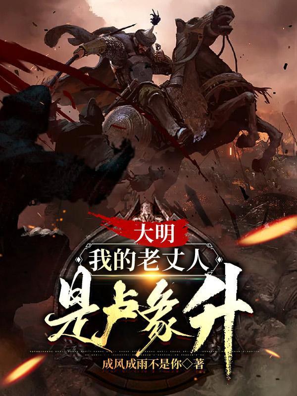 我的老丈人是卢象升最新