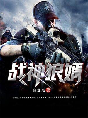 战神狼婿叶新几个老婆