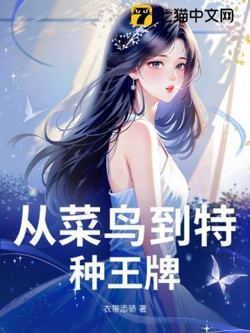 从菜鸟到高手的动漫