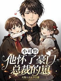 小可怜他怀了豪门总裁的崽(景嘉熙