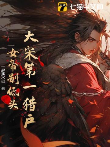 大宋第一女将