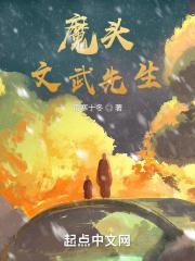 文武先生是什么意思