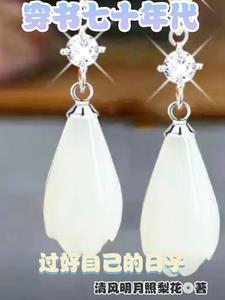 七十年代穿书推荐