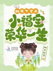 小福宝荣华一生 列表