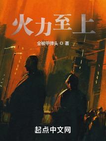 火力至上无错版在线阅读