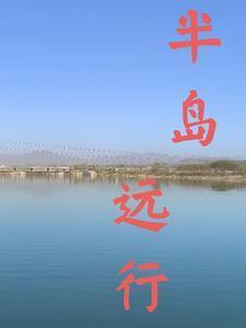 半岛什么意思啊