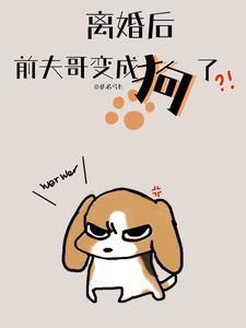 前夫变哥哥