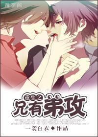 重生之兄有弟攻 忆洁