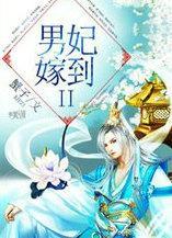 男妃嫁到全文免费阅读