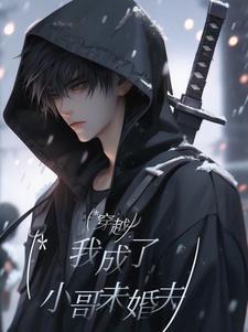 穿越成小哥儿的文