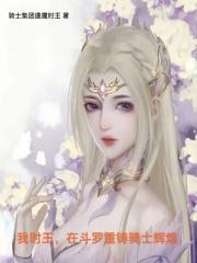 在斗罗重铸骑士辉煌2