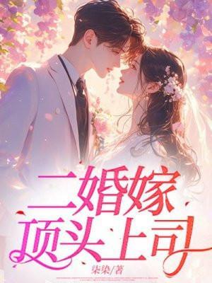二婚嫁顶头上司全文免费