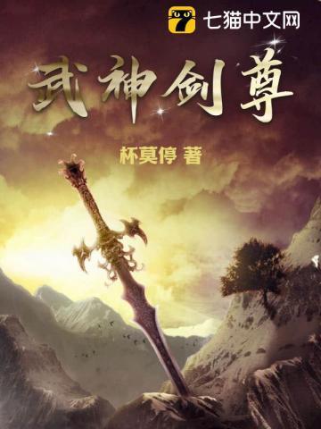 武神剑尊叶风免费阅读