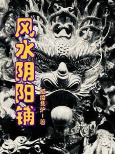 阴阳风水铺免费阅读