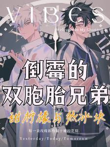 连体双胞胎兄弟现状