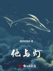 他与灯免费阅读