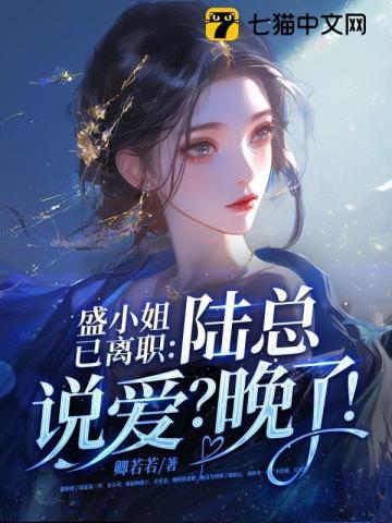 盛小姐的高冷总裁盛夏